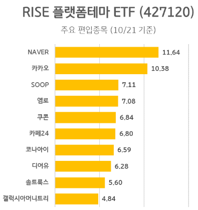 RISE 플랫폼테마 ETF 포트폴리오